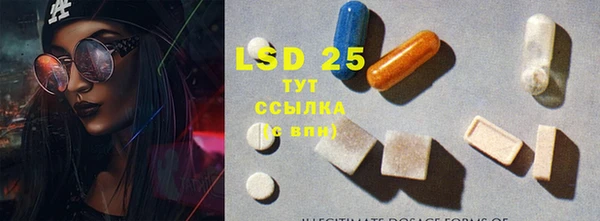 гашик Армянск