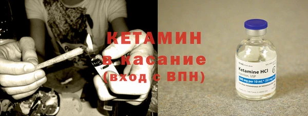 трава Аркадак