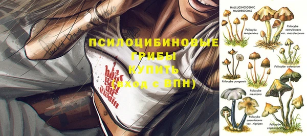 экстази Баксан