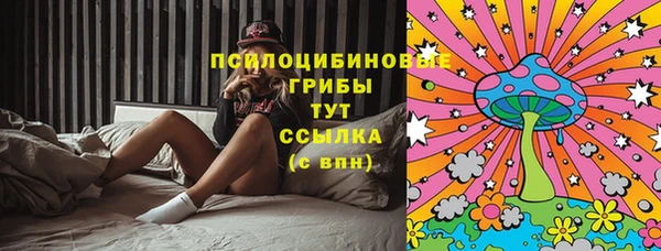 трава Аркадак