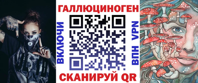 Псилоцибиновые грибы Psilocybine cubensis  блэк спрут зеркало  Верхнеуральск 